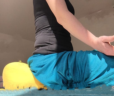 Yoga, die Basics. Ein Kurs in 12 Einheiten