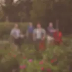 The Misery Mountain Boys 