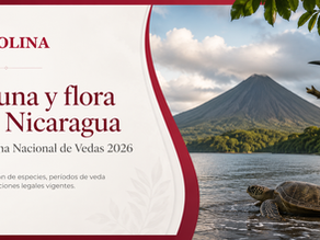 Actualización del Sistema de Vedas en Nicaragua para el período 2026