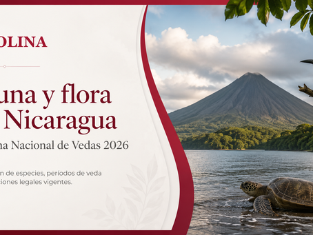 Actualización del Sistema de Vedas en Nicaragua para el período 2026