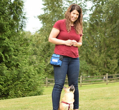 virtual assistant for dog trainers