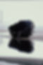 DSCF1554.jpg