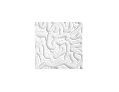 organ surface 1.png