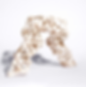 IMG_1116_edited_edited.png