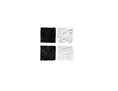 organ surface 4.png