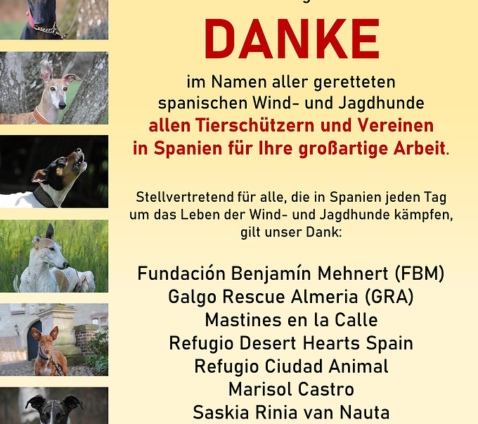 Galgo-Marsch; Galgomarsch; Münchner Galgomarsch; Galgomarsch München, Galgo; Galgo espanol; Tierschutz, Spanien, Windhund; Podenco; Bodeguero; Spanische Windhunde; Jagdhunde; Galgo Hilfe; 