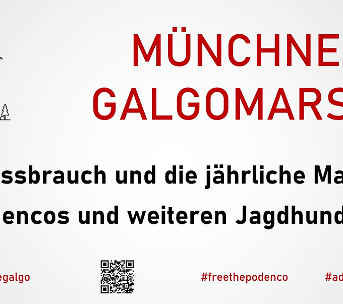 Galgo-Marsch; Galgomarsch; Münchner Galgomarsch; Galgomarsch München, Galgo; Galgo espanol; Tierschutz, Spanien, Windhund; Podenco; Bodeguero; Spanische Windhunde; Jagdhunde; Galgo Hilfe; 