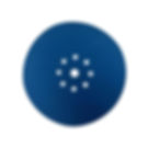 Wallvex Sanding Disc w/ Vacuum Holes