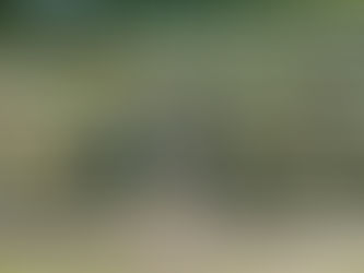 Bất động sản Long An - Điểm đến lý tưởng cho giới đầu tư