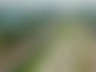 Các tỉnh và thành phố khu vực ven TP.HCM tiếp tục cho thấy sự phát triển mạnh mẽ nửa đầu năm 2024