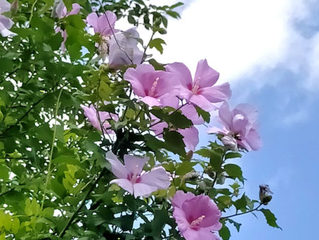 熱中症に注意しましょう💦