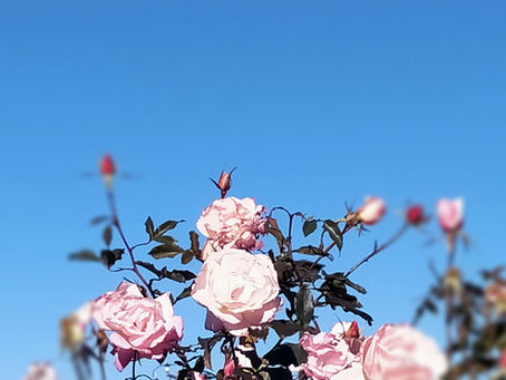 ⛄年末のご挨拶⛄