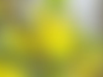🌺営業時間変更のお知らせ🌸