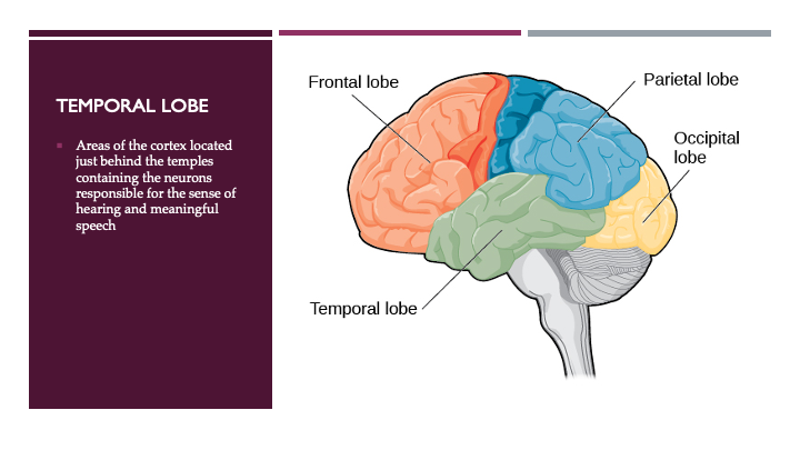 Slide12
