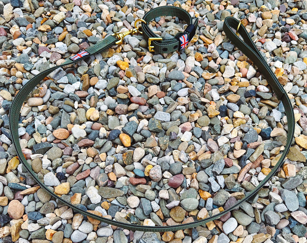 Thumbnail: 1" wide Working Terrier collar and or lead set 2 colours