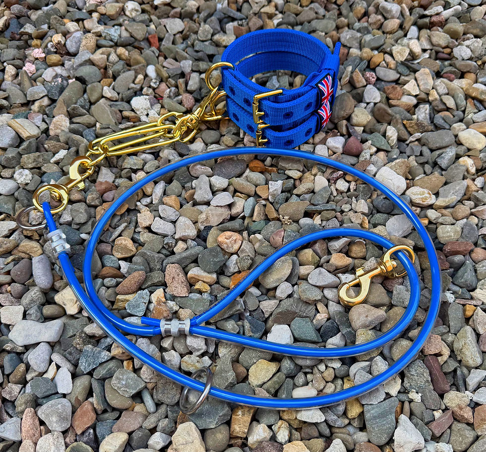 Thumbnail: 1" Working TerrierCouple set with LARR lead