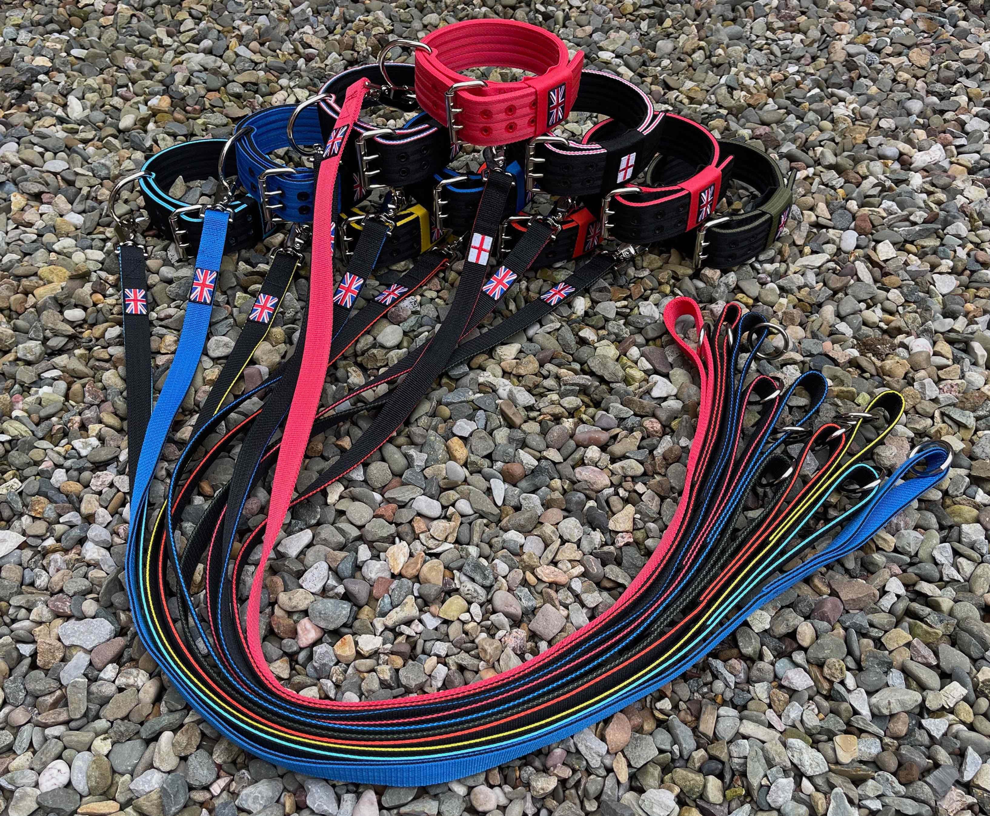 2" Wide 5ply collar + lead set Show Stock Sale