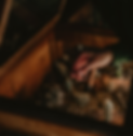 9a2232f5-bb99-4922-a976-55884fc363a8_edited.png