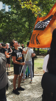 save and care animal sanctuary