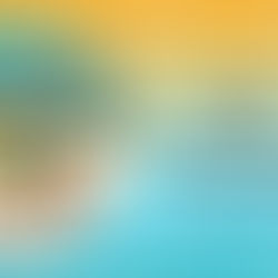 Dragonfly Book Bar: Independent Bookstores Day Celebrates its 13th Anniversary