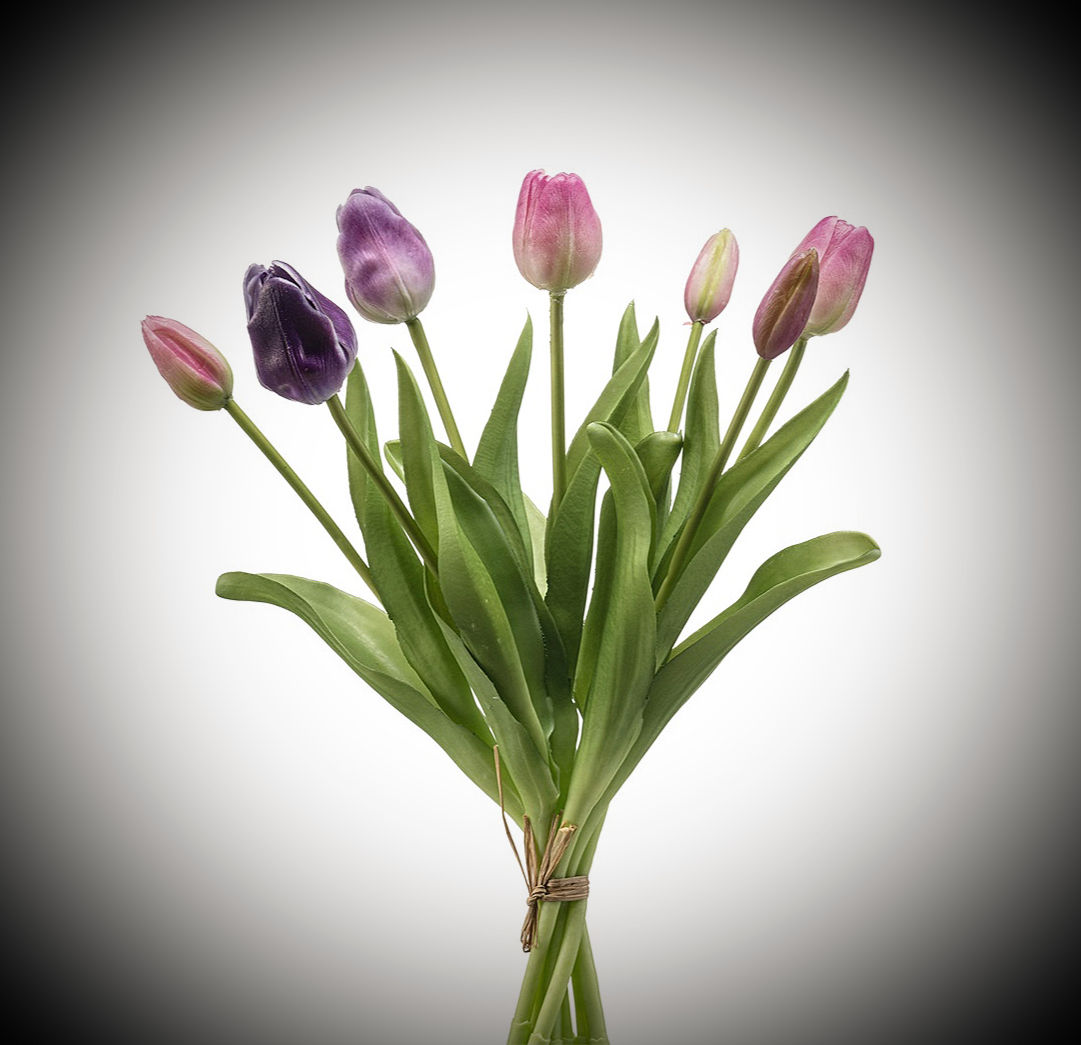 BOUQUET DE TULIPES (ROSE ET POURPRE)