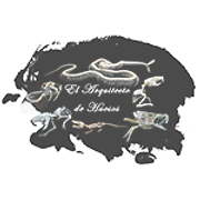 Logo de El Arquitecto de Huesos
