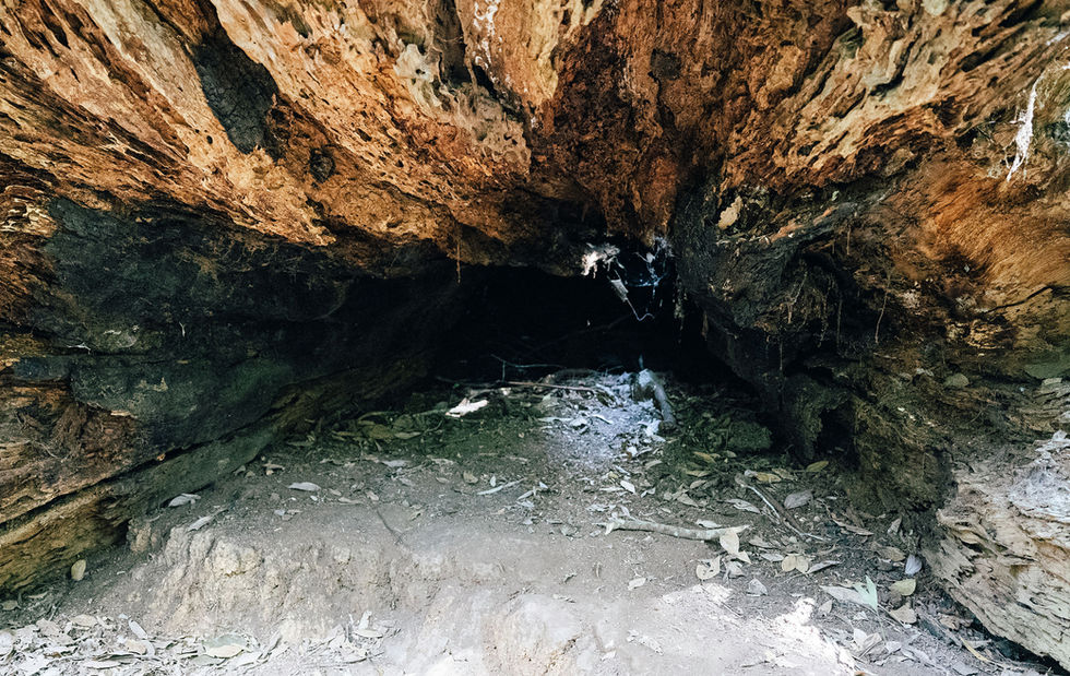 Cave entrance with rocky ceiling and scattered debris.