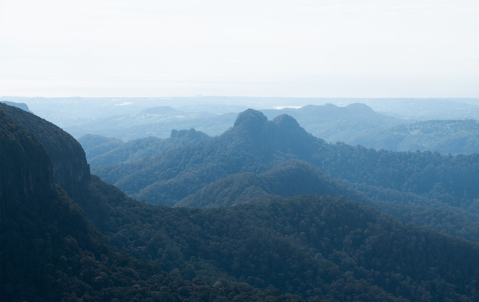 045-GOANNA-Springbrook Serenity-September 2022.jpg