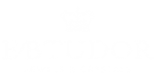 TUDOR_Artboard 2.png