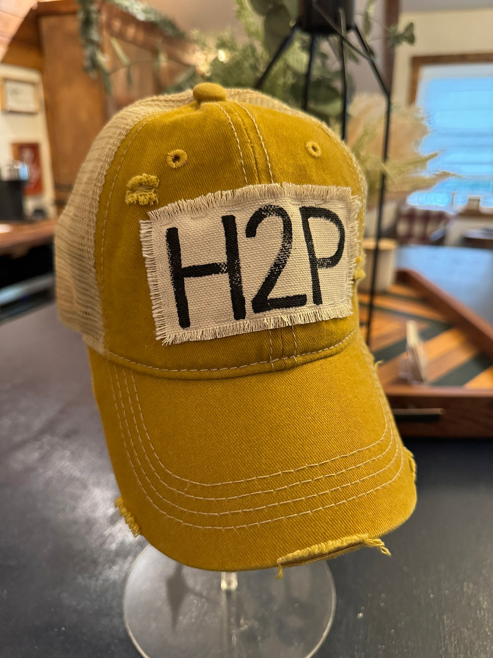 Thumbnail: H2P (Hail to Pitt) Ballcap