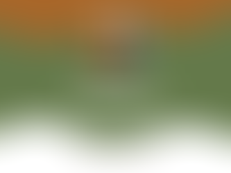 Recognition - Do you do Enough?