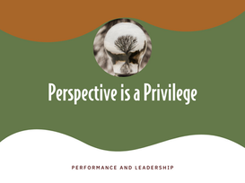 Perspective is a Privilege