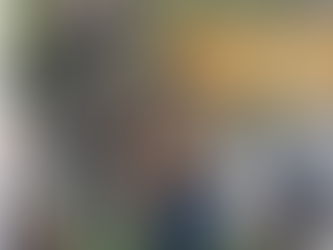 Copia di Lettura, arte e natura: il progetto “Algy” celebra la pietra del Carso tra fiabe e poesia - NORDEST24 13/10/25