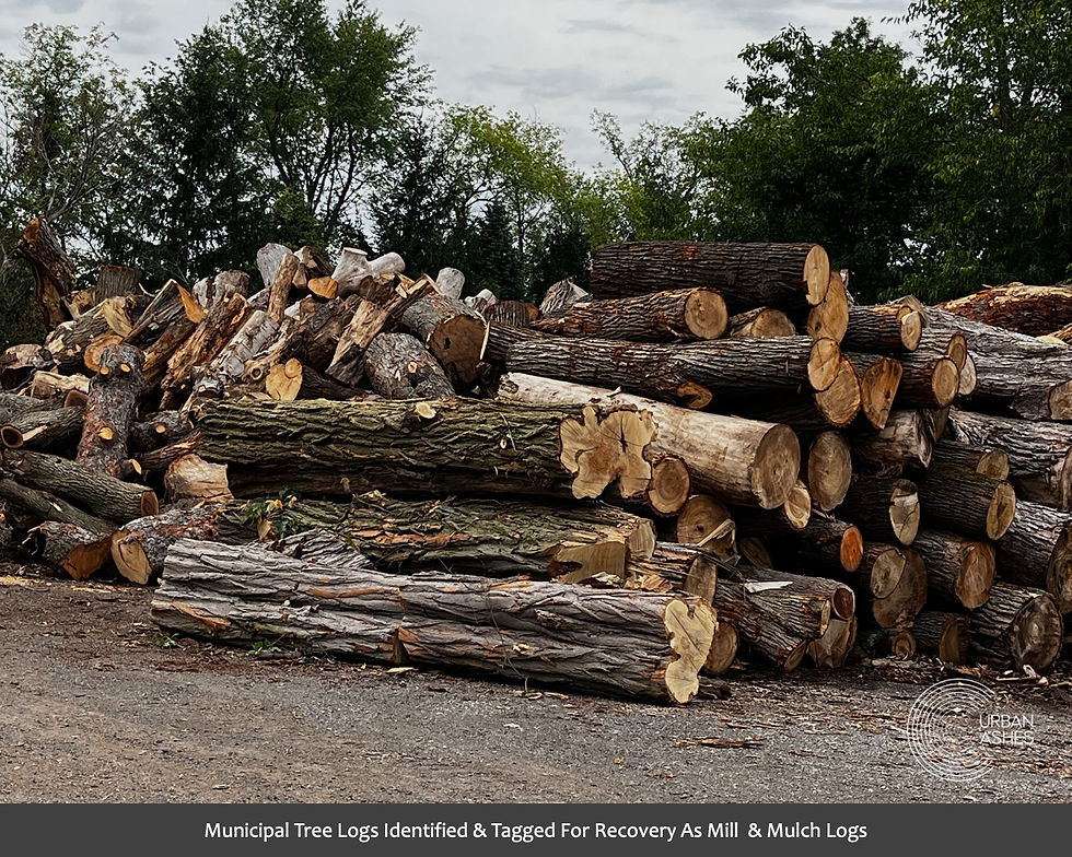 A2_Logs
