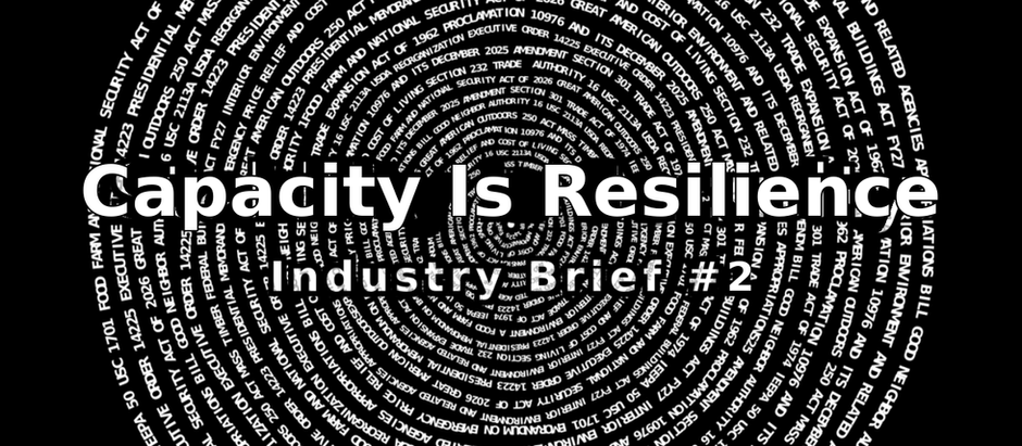 Industry Brief #2 - Capacity Is Resilience