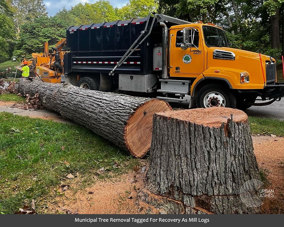 A2_Tree_Down