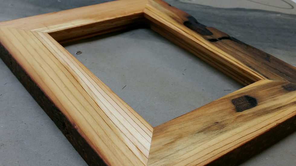 T2 Pine Shell