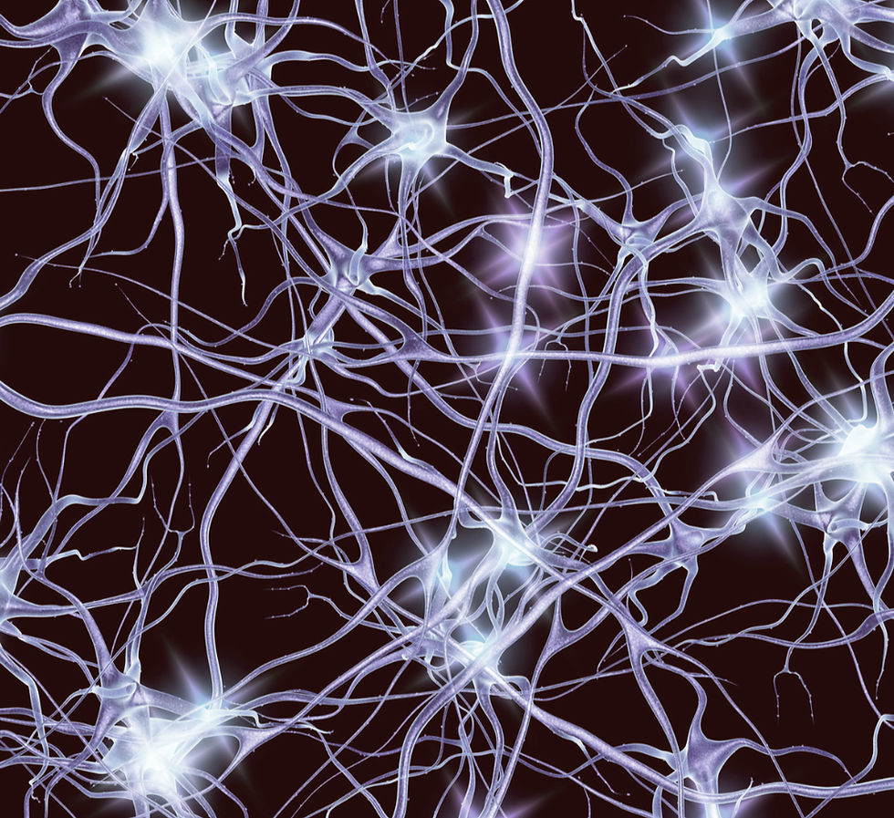 Why learning executive functions is more effective for ADHD brains