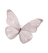 Mindfulmama pink butterfly
