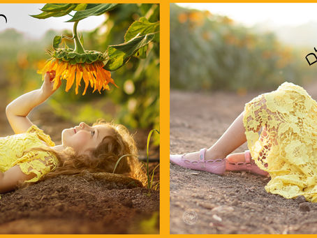 מדוע צלמים לא מוסרים חומר גלם?