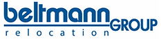 BRG Logo Only_Correct Blue.png
