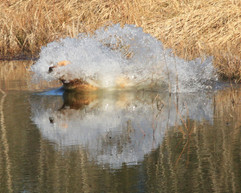 Canoe splash.JPG