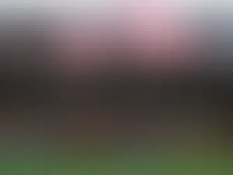 Milan-Feyenoord, le formazioni ufficiali