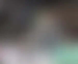 Koopmeiners: «Sono molto tranquillo. Mi piace aiutare la squadra per vincere le partite»