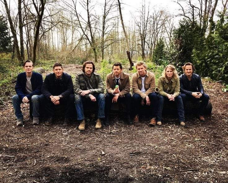 cover for website.jpg