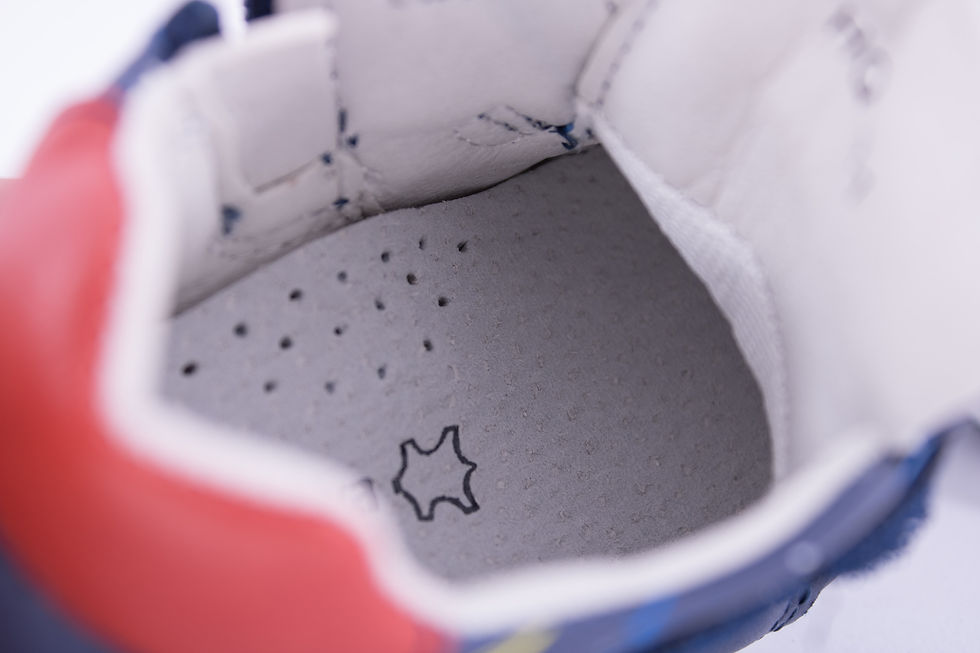 Thumbnail: SpringRocket Shoes Blue