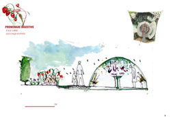 Promenade digestive 5