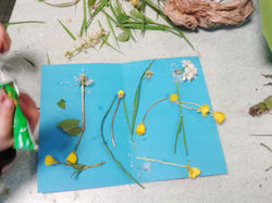 Composition et récolte du jardin