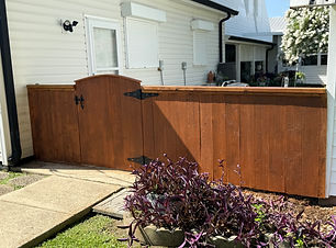 photo jun 20 2025, 10 12 06 am.jpg