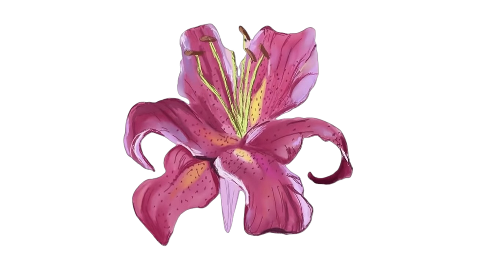 Transparent Allegiant Logo (13).png